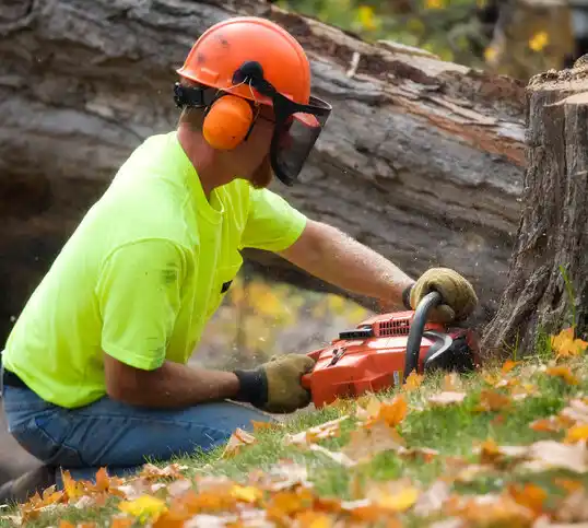 tree services Vermontville